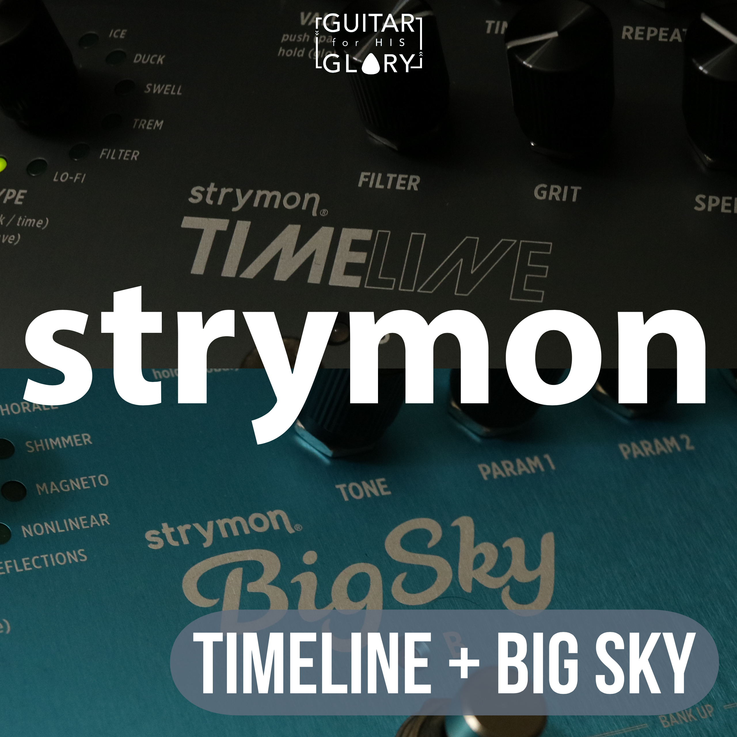 Strymon Timeline/Big Sky - The Kitchen Sink